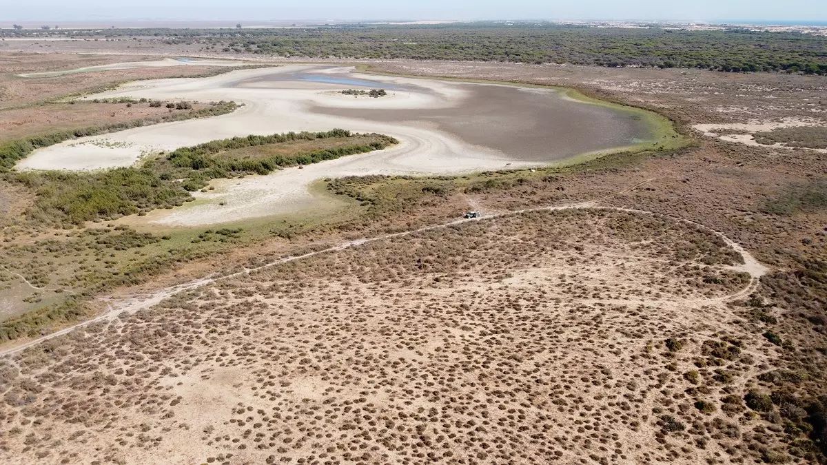 Doñana se seca y los políticos la ignoran